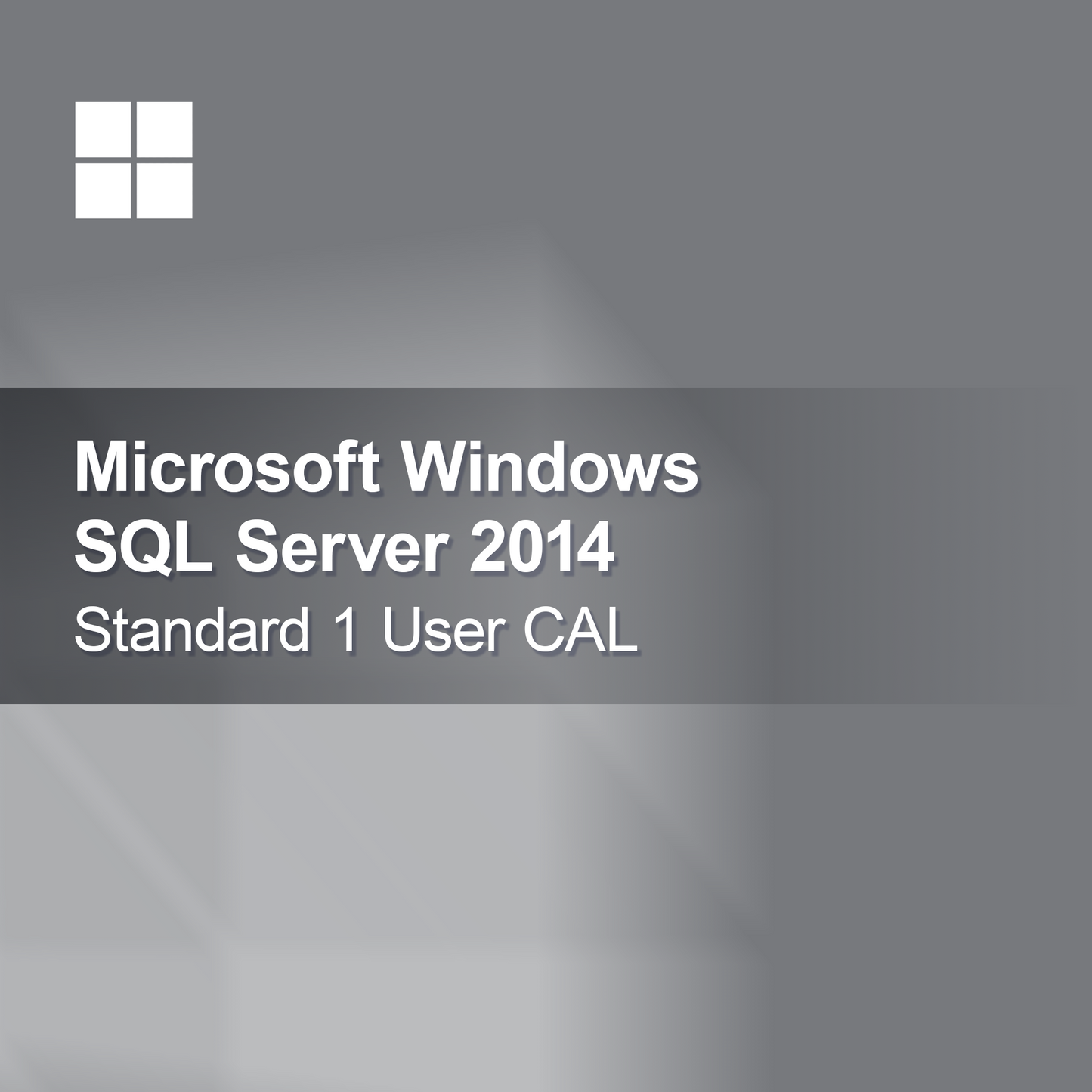 Microsoft SQL Server 2014 Standard 1 användar-CAL