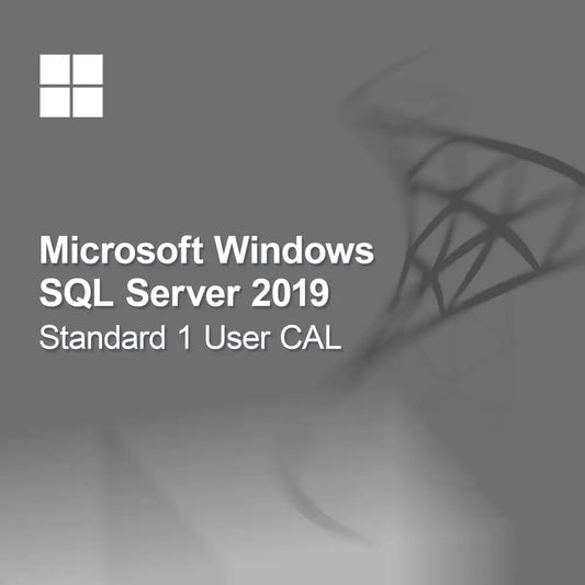 Microsoft SQL Server 2019 Standard 1 användar-CAL