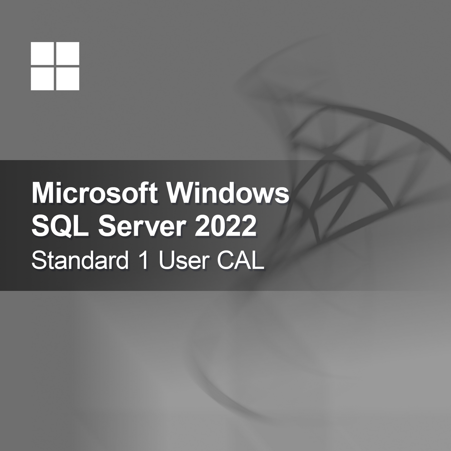 Microsoft SQL Server 2022 Standard 1 användar-CAL