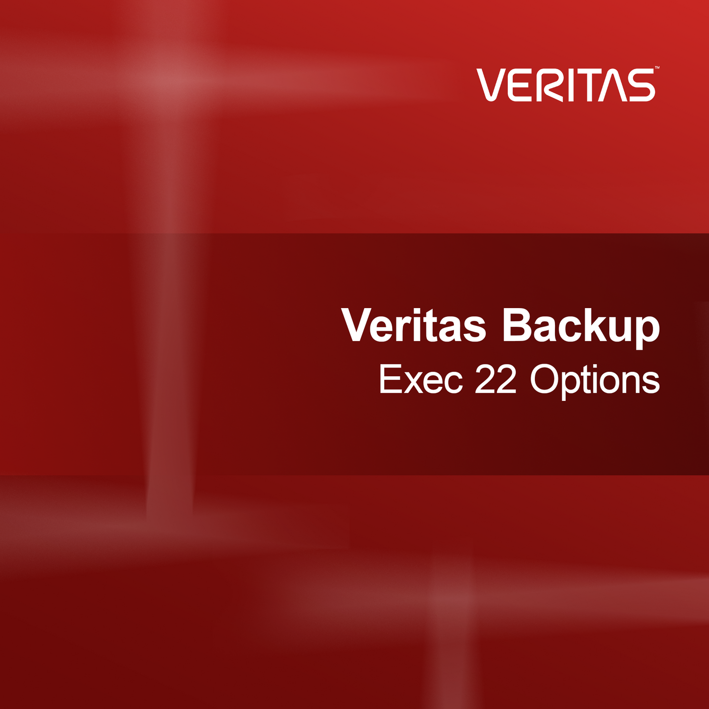 Veritas Backup Exec 22 Alternativ