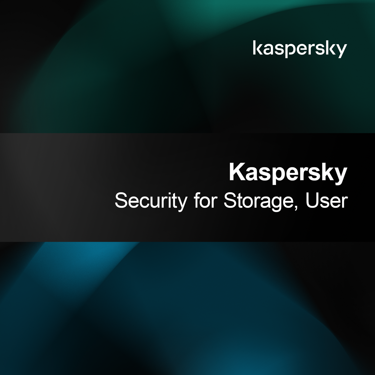 Kaspersky Säkerhet för Lagring, Användare