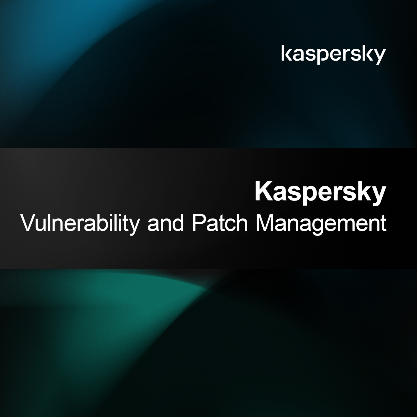 Kaspersky Sårbarhets- och Patchhantering