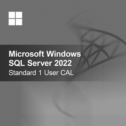 Microsoft SQL Server 2022 Standard 1 användar-CAL